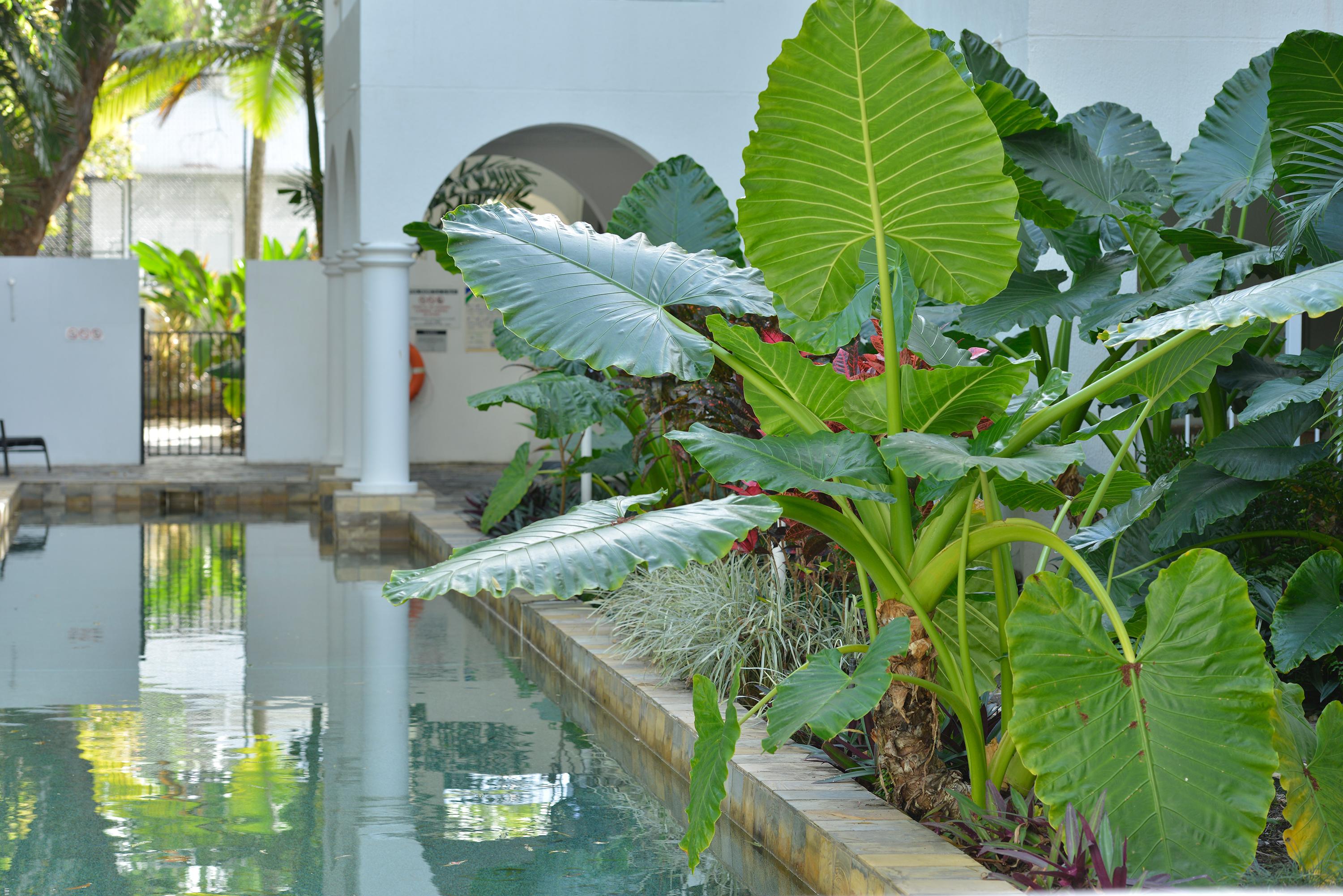 Hotel Mantra PortSea Port Douglas Esterno foto